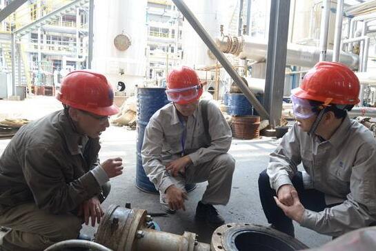 福建省東南電化股份有限公司(圖2)